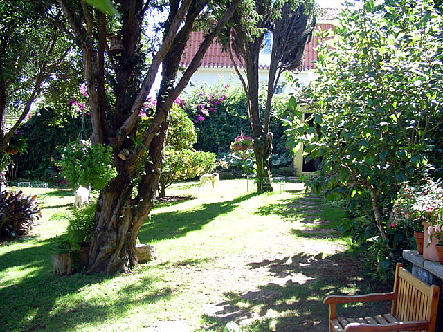 jdv1220129593i.JPG