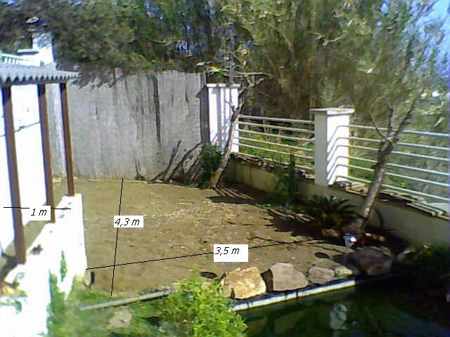 jdv1238952258i.JPG