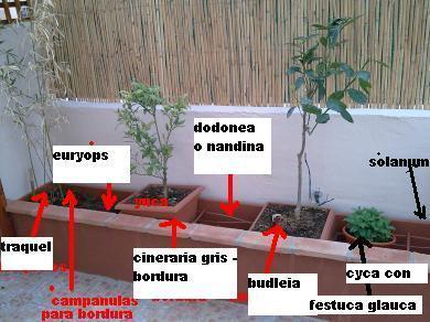 jdv1245263269l.jpg