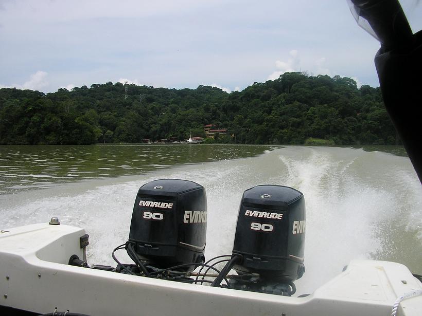 jdv1253209661e.JPG