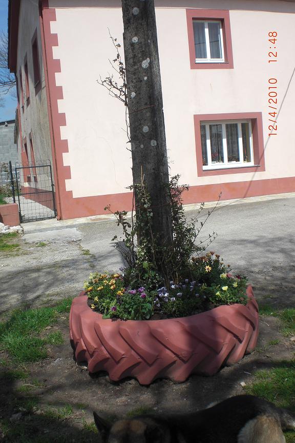 jdv1271105817i.JPG
