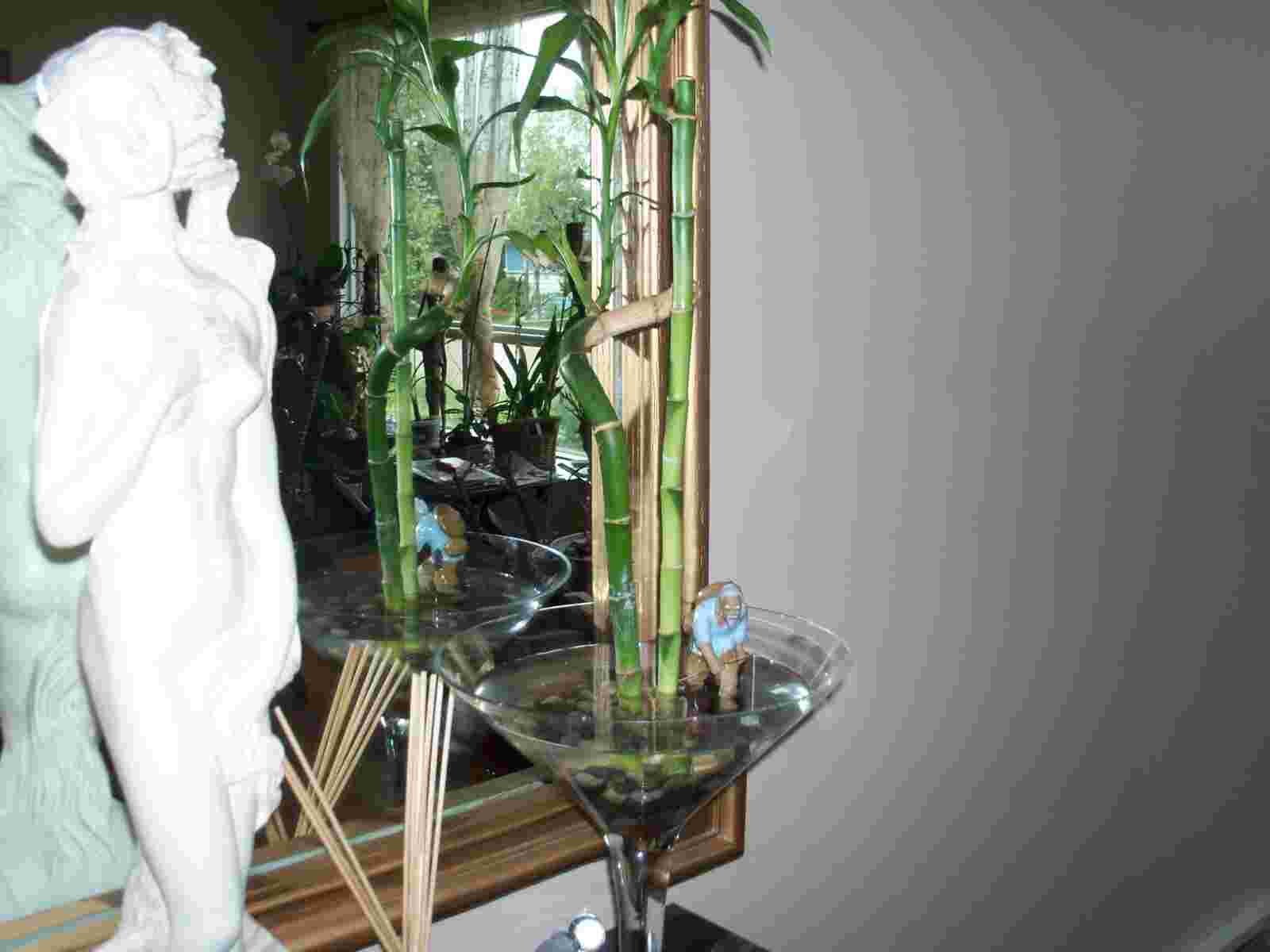jdv1281328648e.jpg