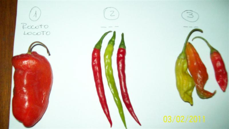 jdv1296749226c.jpg