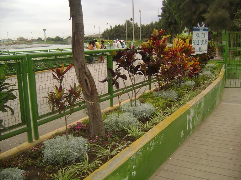 jdv1298570944e.JPG
