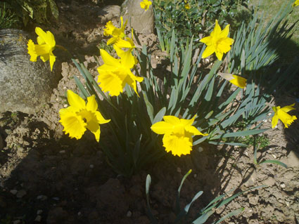 jdv1301829180i.jpg