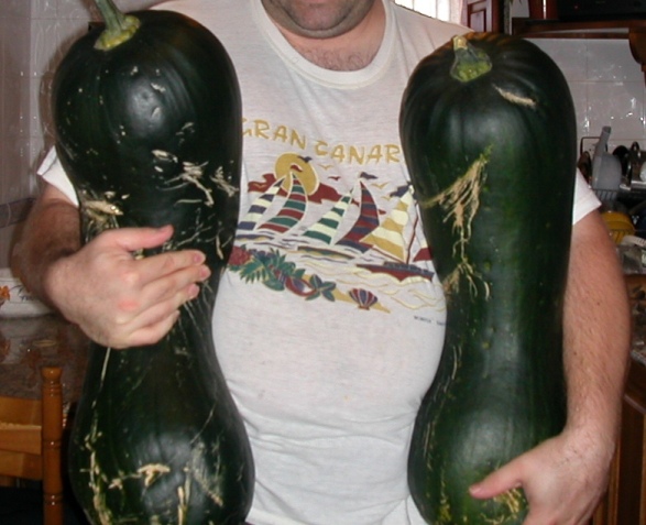 jdv1304869902n.JPG