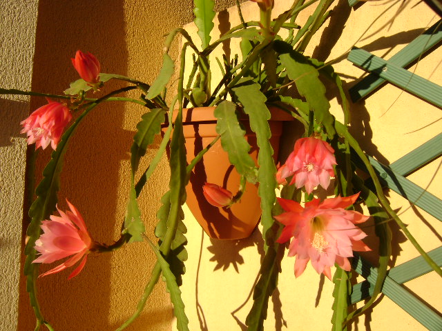 jdv1309171179r.JPG
