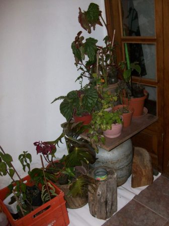 jdv1309281608k.jpg