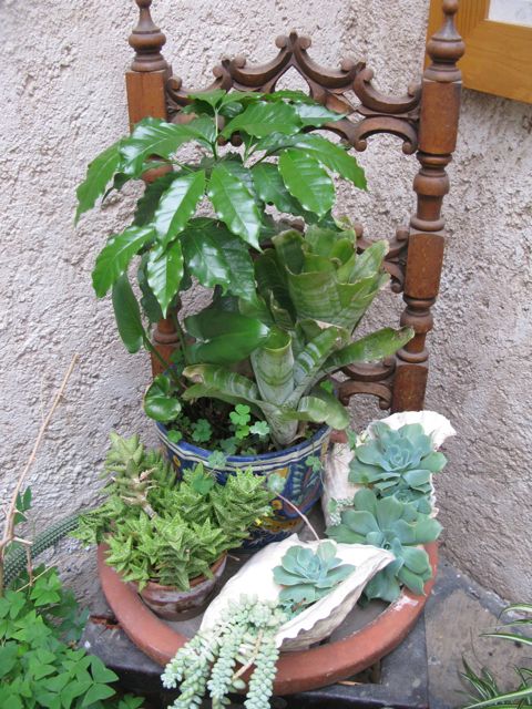jdv1311986744n.jpg
