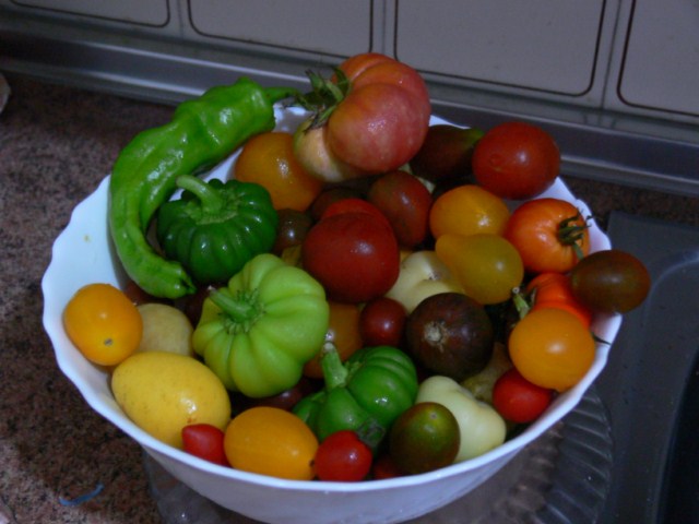 jdv1312183668h.JPG