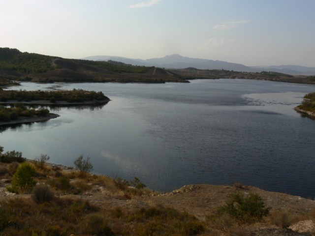 jdv1312186115l.JPG