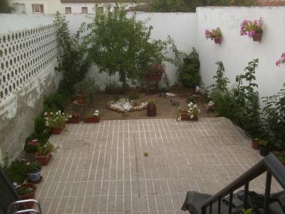 jdv1312362944v.JPG