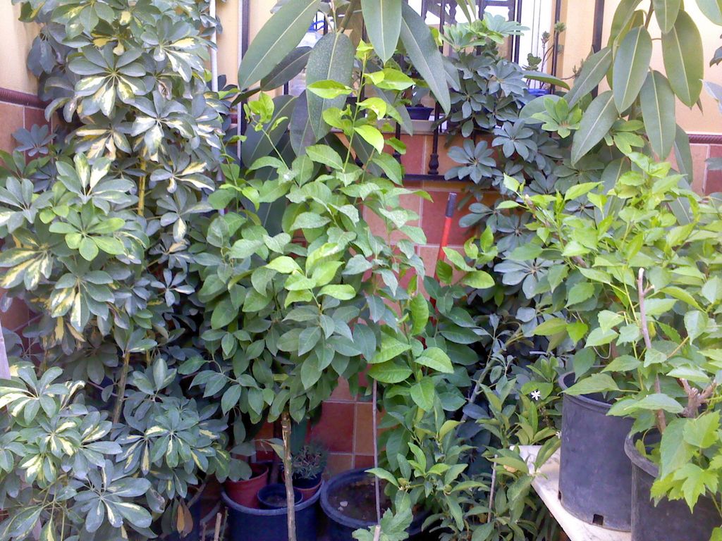 jdv1313001659n.jpg
