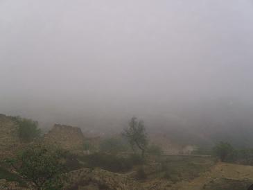 jdv1313093738u.jpg
