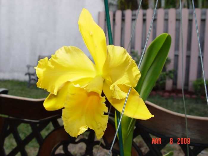 jdv1313198587i.jpg