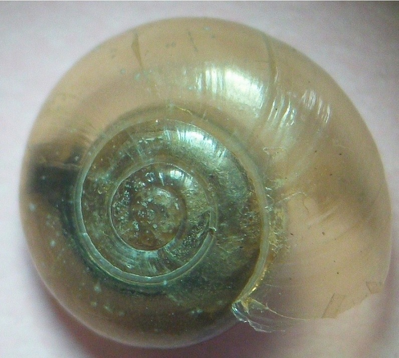 jdv1313335982w.JPG