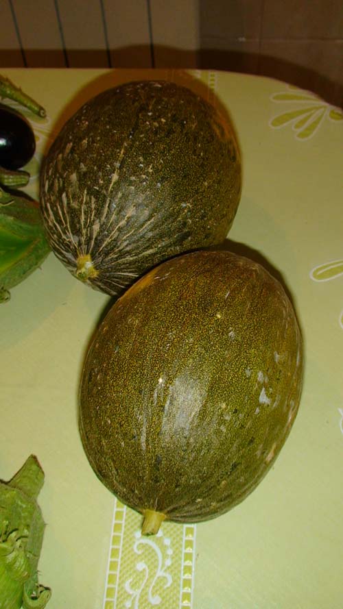 jdv1313445840c.JPG