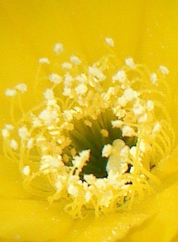 jdv1313783271p.JPG