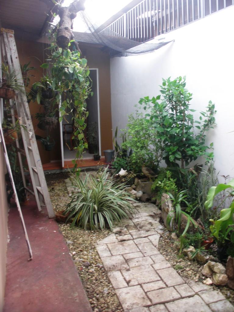 jdv1316009269q.JPG