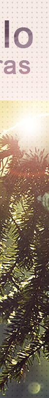 jdv1335622204t.jpg