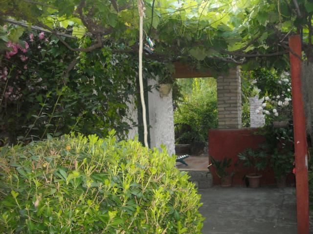 jdv1335985377a.jpg
