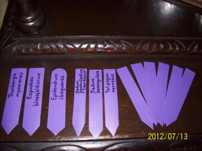 jdv1342194654m.JPG