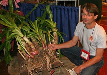 Jenks-Farmer-bulbs.jpg