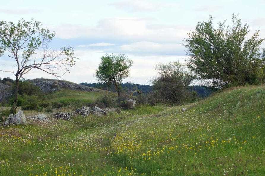 JEntornoP_05.jpg
