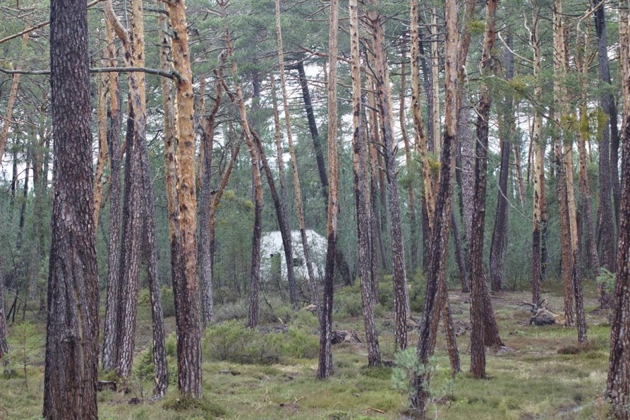 JEntornoP_18.jpg