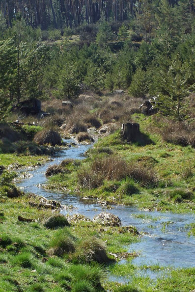 JEntornoP_19.jpg