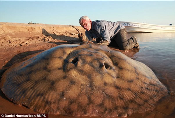 Jeremy-Wade-pez-raya.jpg