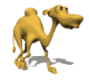 jerry_camel_walking_md_wht.gif