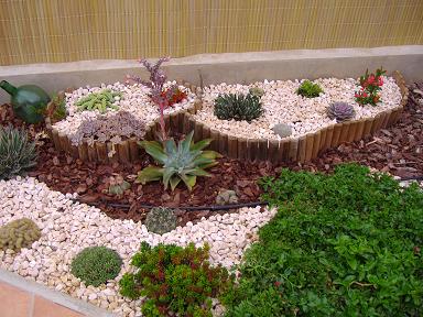 jescactus1.JPG