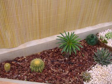 jesscactus1.JPG
