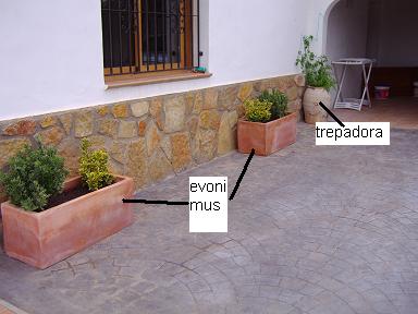 jessmaceteros.JPG