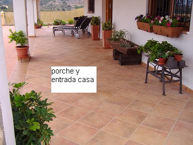 jessporche.JPG