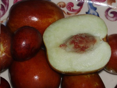 jinjole1.JPG