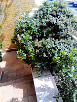 jKnvJZm26ofJXxsm9OURInlYyITYPTnl5FzKu5hvEQ=w156-h207-p-no.jpg