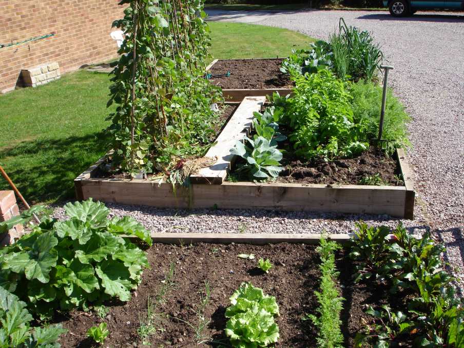 John%27s%20planted%20up%20vegetable%20beds%20with%20railway%20sleepers%20007_WEB.jpg