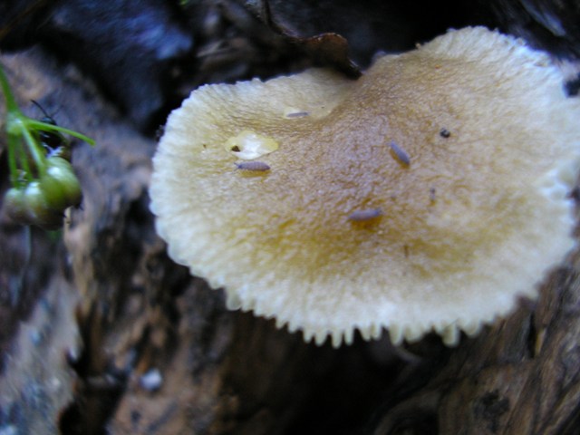 joiaSurf_044.jpg
