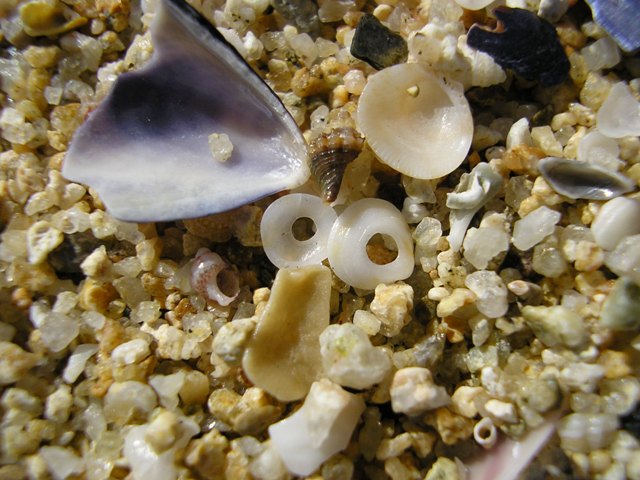 joiaSurf_058.jpg