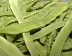 judias-verdes.jpg