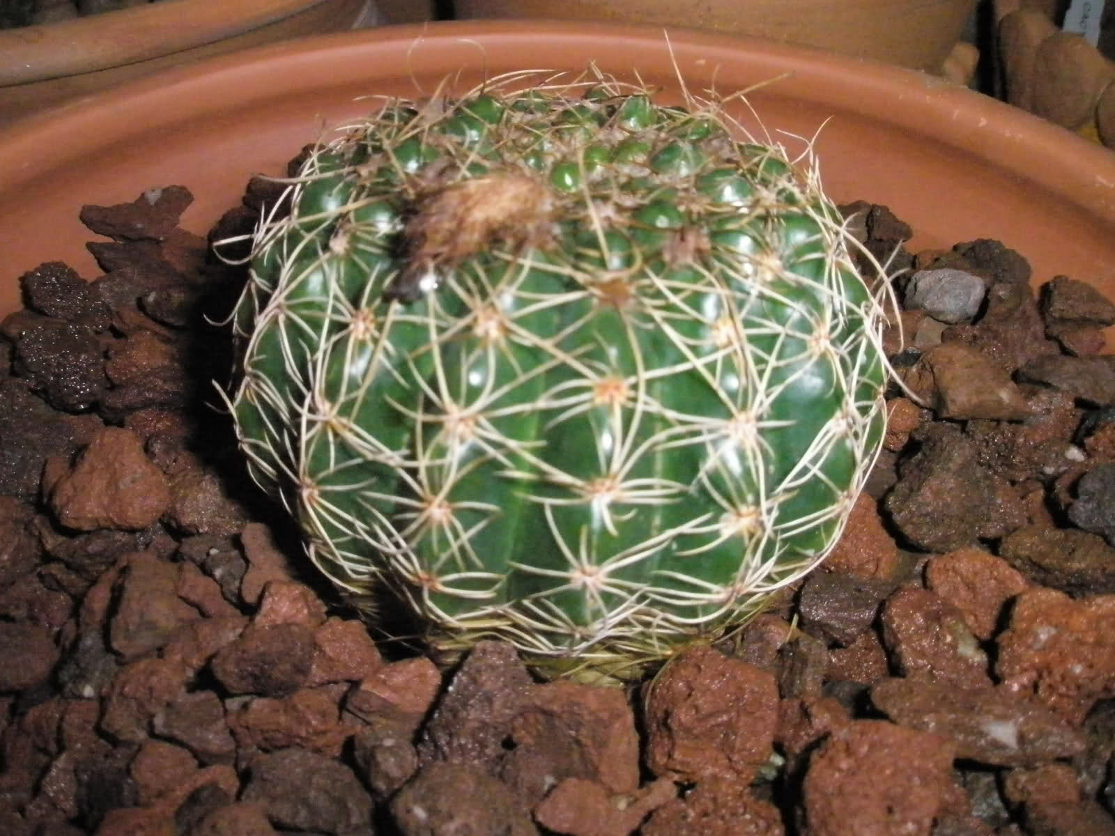jues9i.jpg