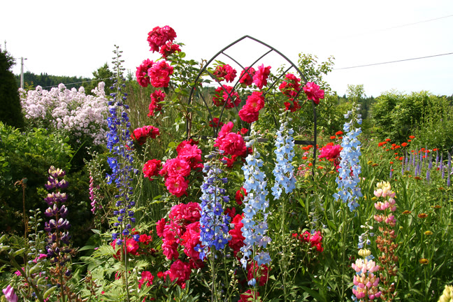 Juillet201015h00002.jpg