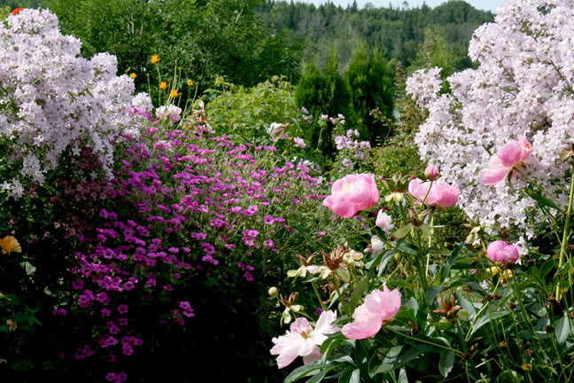 Juillet201015h00003.jpg