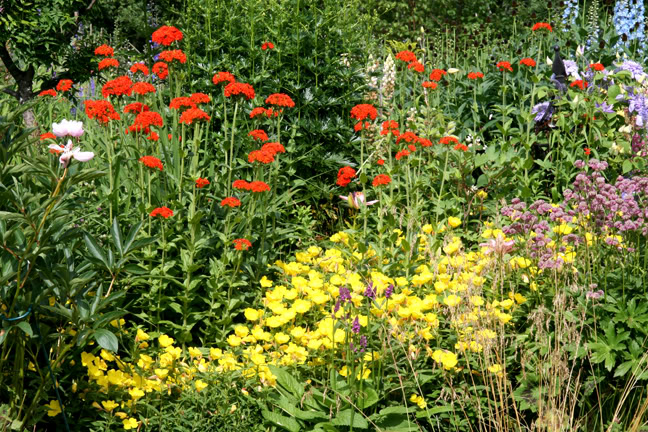 Juillet201015h00004.jpg