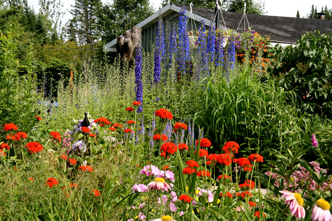 Juillet201015h00009.jpg
