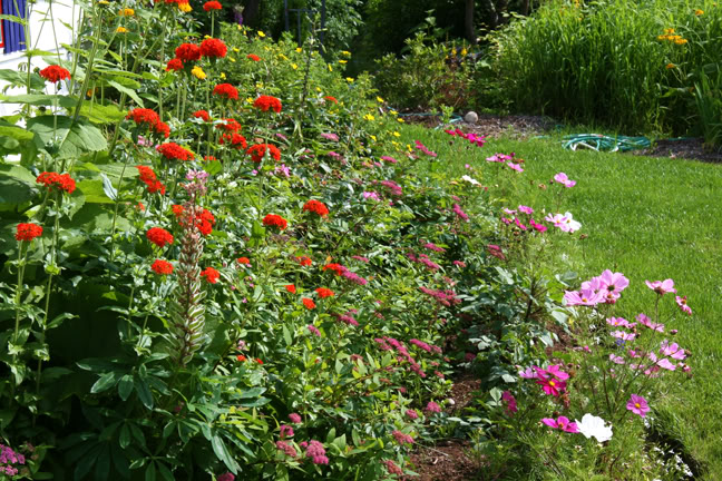 Juillet201015h00011.jpg