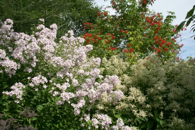 Juillet201015h00016.jpg