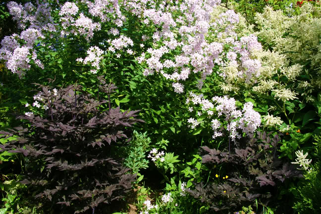Juillet201015h00017.jpg